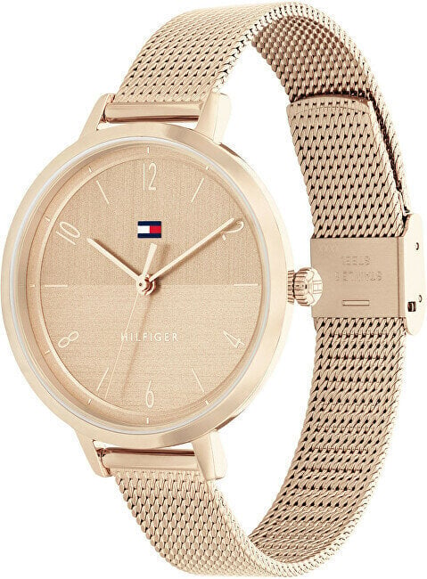 Naiste käekell Tommy Hilfiger 1782580 цена и информация | Käekellad naistele | hansapost.ee