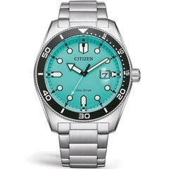 Käekell Citizen AW1760-81W price and information | Käekellad naistele | hansapost.ee