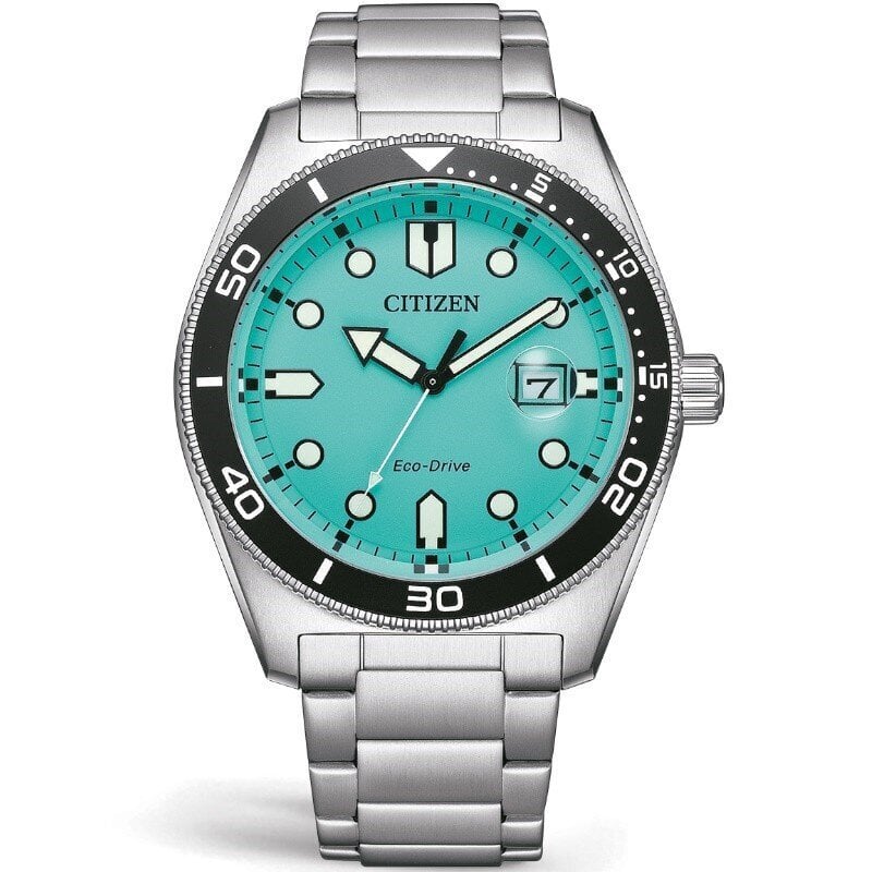 Käekell Citizen AW1760-81W hind ja info | Käekellad naistele | hansapost.ee