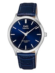 Часы Q&Q S278J312Y цена и информация | Мужские часы | hansapost.ee