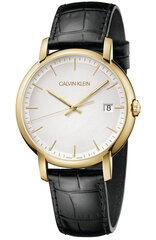 Мужские часы Calvin Klein цена и информация | Мужские часы | hansapost.ee