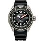 Käekell meestele Citizen Promaster Marine Titanium Diver NB6004-08E цена и информация | Käekellad meestele | hansapost.ee