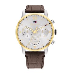 Tommy Hilfiger Sulllivan TH1791884 цена и информация | Мужские часы | hansapost.ee