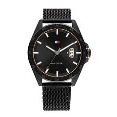 Tommy Hilfiger Carter TH1791913 цена и информация | Мужские часы | hansapost.ee