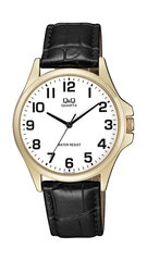 Q&Q meeste käekell QA06104 QA06104 цена и информация | Мужские часы | hansapost.ee