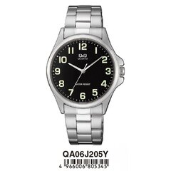 Meeste käekell Q&Q QA06J205Y price and information | Watches for men | hansapost.ee