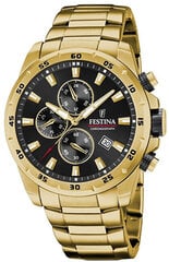 Festina Chrono Sport 20541/4 цена и информация | Мужские часы | hansapost.ee