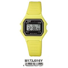 Цифровые часы Q&Q M173J016 цена и информация | Мужские часы | hansapost.ee