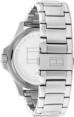 Мужские часы Tommy Hilfiger 1791994 цена и информация | Мужские часы | hansapost.ee