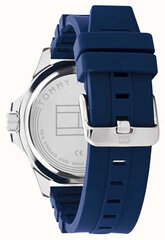 Мужские часы Tommy Hilfiger 1791991 цена и информация | Мужские часы | hansapost.ee