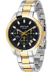 Мужские часы Sector (Ø 41 мм) цена и информация | Мужские часы | hansapost.ee