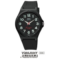 Мужские часы Q&Q, VQ66J024Y, (Ø 40 мм) цена и информация | Мужские часы | hansapost.ee