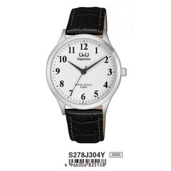 Мужские часы Q&Q, S278J304Y, (Ø 40 мм) цена и информация | Мужские часы | hansapost.ee