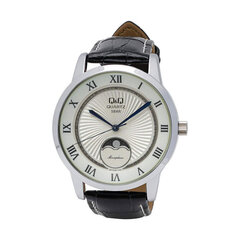 Мужские часы Q&Q, QZ10J307Y, (Ø 40 мм) цена и информация | Мужские часы | hansapost.ee