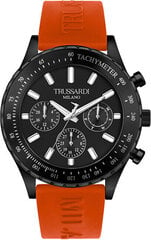 Мужские часы Trussardi R2451148003 цена и информация | Мужские часы | hansapost.ee