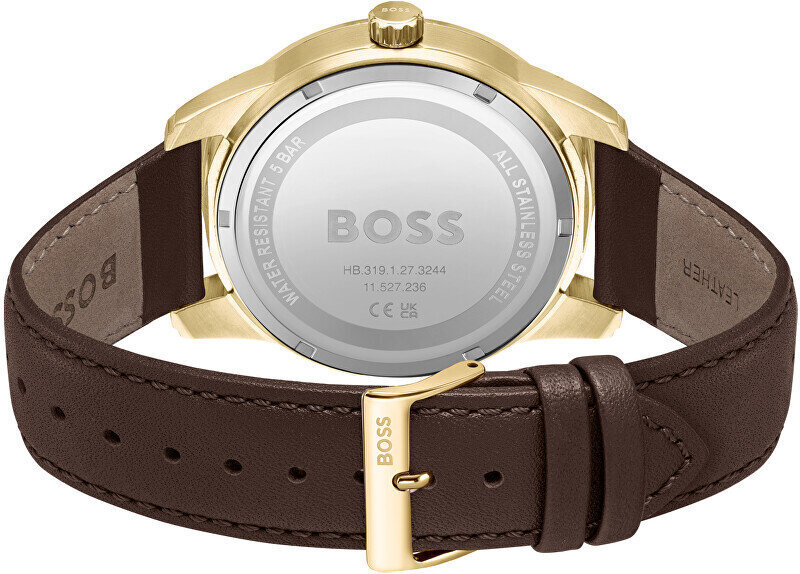 Käekell meestele Hugo Boss 1513956 цена и информация | Käekellad meestele | hansapost.ee