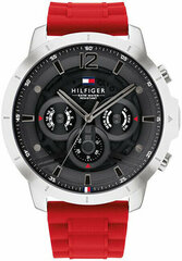 Tommy Hilfiger Luke 1710490 цена и информация | Мужские часы | hansapost.ee