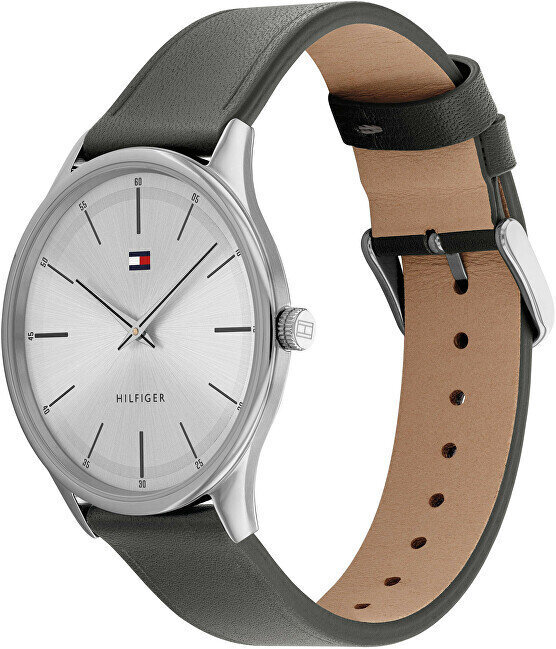 Käekell meestele Tommy Hilfiger 1710465 hind ja info | Käekellad meestele | hansapost.ee