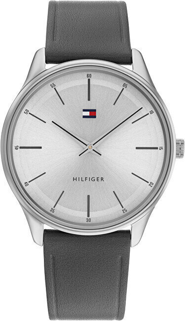 Käekell meestele Tommy Hilfiger 1710465 hind ja info | Käekellad meestele | hansapost.ee