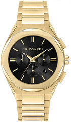 Trussardi Большой наручный хроно R2453156001 цена и информация | Мужские часы | hansapost.ee