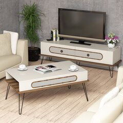 Комплект мебели для гостиной Kalune Design 845(V), белый цена и информация | Секции | hansapost.ee