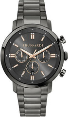 Käekell meestele Trussardi R2453147012 цена и информация | Мужские часы | hansapost.ee