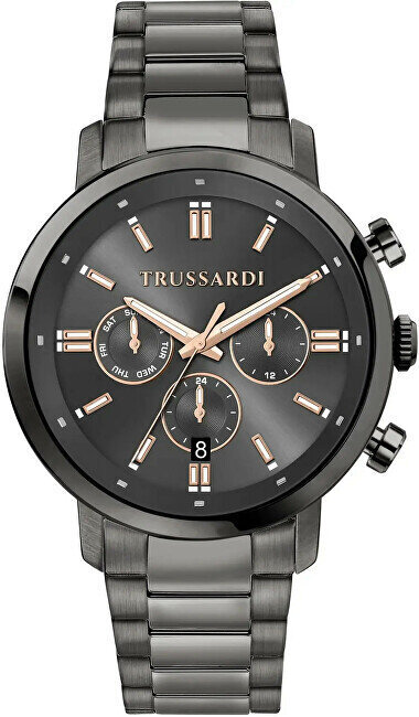 Käekell meestele Trussardi R2453147012 цена и информация | Käekellad meestele | hansapost.ee