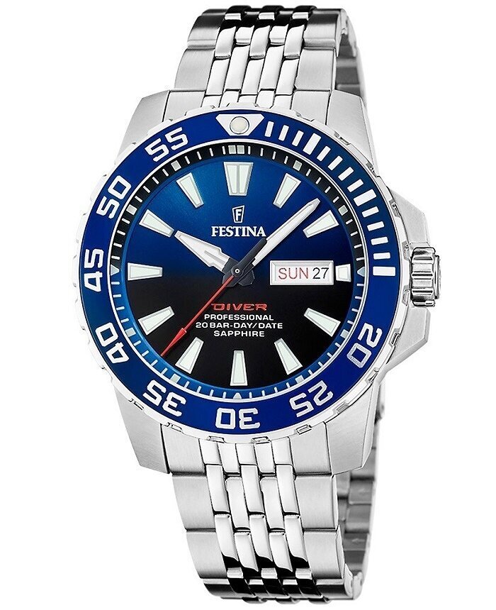 Meeste käekell Festina Diver Professional Stainless Steel Blue цена и информация | Käekellad meestele | hansapost.ee