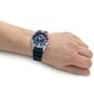 Käekell meestele Citizen Eco-Drive Promaster BN0168-06L цена и информация | Käekellad meestele | hansapost.ee