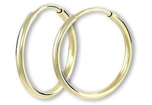 Brilio Золотые серьги-кольца 231 001 00486 sBR1651 цена и информация | Серьги | hansapost.ee