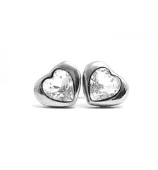 Серьги для женщин MyHeart Silver BFN V P172 цена и информация | Серьги | hansapost.ee