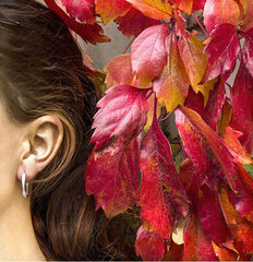 Beneto Elegantsed ümarad kõrvarõngad hõbedast AGUC2237 hind ja info | Kõrvarõngad | hansapost.ee