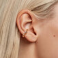 PDPAOLA Ebatavalised kullatud kõrvarõngad tsirkoonidega ZOE Gold AR01-290-U hind ja info | Kõrvarõngad | hansapost.ee