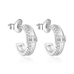 Вечные серебряные кольца, серьги Beneto AGUP2192L цена и информация | Серьги | hansapost.ee