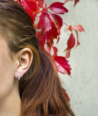Beneto Moodsad hõbedased kõrvarõngad läbipaistvate tsirkoonidega AGUP2261 hind ja info | Kõrvarõngad | hansapost.ee