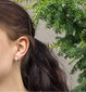 Beneto Ümmargused hõbedased kõrvarõngad AGU1151 hind ja info | Kõrvarõngad | hansapost.ee