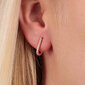 Messing Kullatud kõrvarõngad naistele La Petite Story LPS02ARQ149 hind ja info | Kõrvarõngad | hansapost.ee