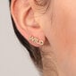 Messing Kullatud kõrvarõngad naistele La Petite LPS02ARQ95 цена и информация | Kõrvarõngad | hansapost.ee