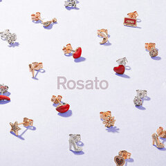 Одинарные серебряные серьги Rosato Story RZO023R цена и информация | Серьги | hansapost.ee