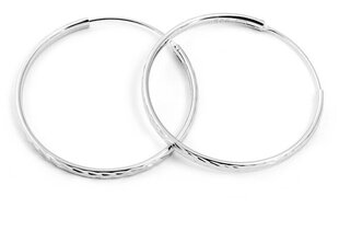 Блестящие серебряные круглые серьги Beneto AGUC2099/35/N цена и информация | Серьги | hansapost.ee