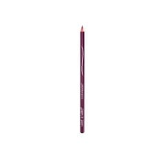 Подводка для губ Wet N Wild Color Icon E664C Fab Fuchsia цена и информация | Помады, бальзамы, блеск для губ | hansapost.ee