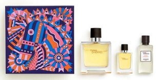 Komplekt Hermes Terre D'Hermes Pure: parfüümvesi, 75 ml + habemeajamisjärgne palsam, 40 ml hind ja info | Parfüümid meestele | hansapost.ee