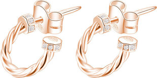 Круглые серьги из бронзы с цирконами Rosato Story RZO002 цена и информация | Серьги | hansapost.ee