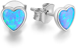 Hõbekõrvarõngad naistele Beneto AGUP1186 opaalidega hind ja info | Kõrvarõngad | hansapost.ee