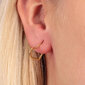 Messing Kullatud kõrvarõngad naistele La Petite Story LPS02ARQ146 hind ja info | Kõrvarõngad | hansapost.ee