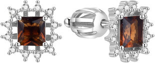 Блестящие серебряные серьги Beneto AGUP1520S цена и информация | Серьги | hansapost.ee