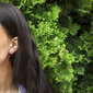 Beneto Hõbedast sädelevad kõrvarõngad AGUP1501S цена и информация | Kõrvarõngad | hansapost.ee
