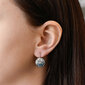 Evolution Group Hõbedased kristallist kõrvarõngad 31176,3 jääsinine hind ja info | Kõrvarõngad | hansapost.ee