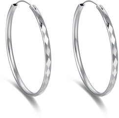 Вечные круглые серьги из серебра Beneto AGUC2271 цена и информация | Серьги | hansapost.ee