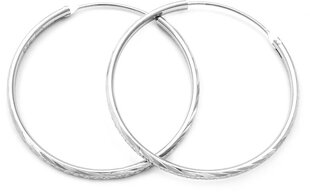 Удивительные серебряные круглые серьги Beneto AGUC355 цена и информация | Серьги | hansapost.ee